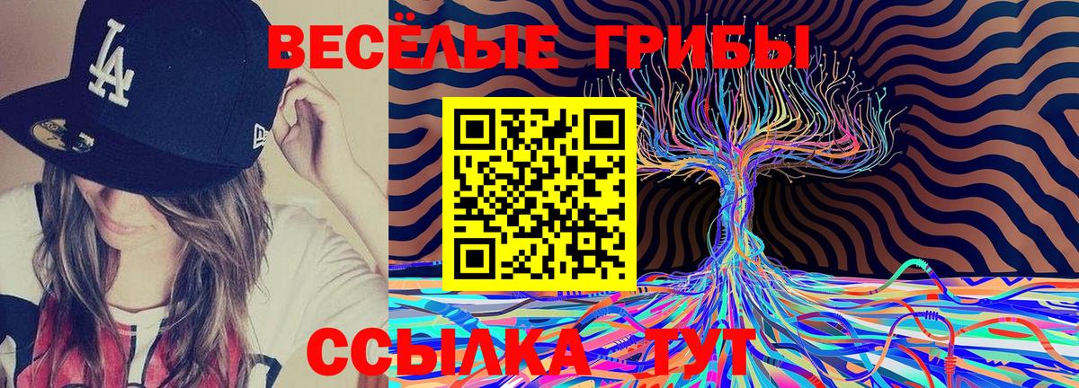 Саянск  Псилоцибиновые грибы MAGIC MUSHROOMS  Псилоцибиновые грибы Psilocybe  Вход с VPN 