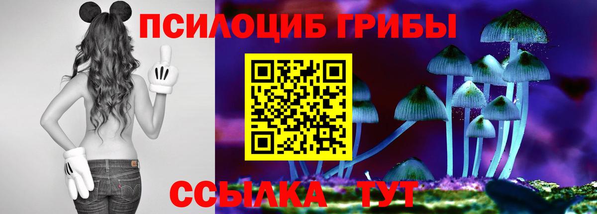 Псилоцибиновые грибы ЛСД Саянск